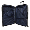 Obrázok z March Lotus L Black 101 l
