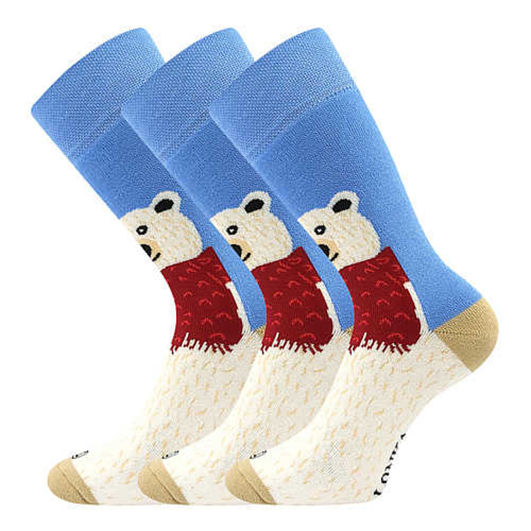 Obrázok z Ponožky LONKA Frooloo 04/bear 1 pár