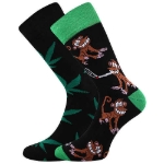 Obrázok z Ponožky LONKA Doble Solo 09/grass 3 páry