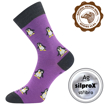Obrázok z VOXX ponožky Snowdrop purple 1 pár