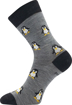 Obrázok z VOXX Snowdrop ponožky svetlo šedé 1 pár