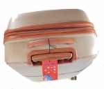 Obrázok z Cestovní kufr Dielle M PP STRIPE 190-66-60 hnědá 78 L