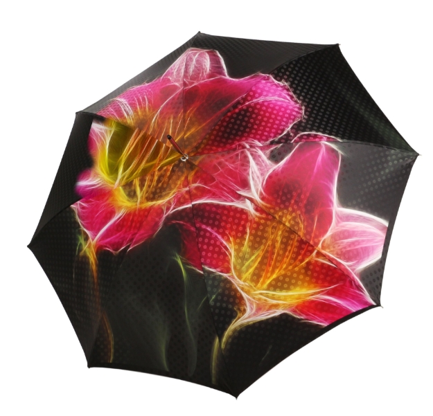 Obrázok z DOPPLER MANUFAKTUR Elegance Boheme Flora - dámský luxusní deštník s potiskem květů