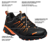 Obrázok z ORLANDO XTR O2 NM Low