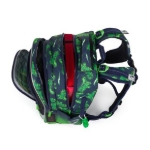 Obrázok z Bagmaster LUMI 25 C školní batoh – dinosaurus Zelená 18 l