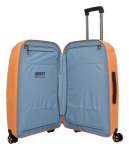 Obrázok z IMPACKT IP1 M Garden apricot 73 L