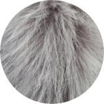 Obrázok z VOXX čiapka Twingo sivá 1 ks