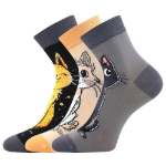 Obrázok z BOMA Ponožky dámské letní MICKA 01 s kočkami MIX A (3 páry)