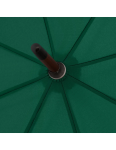 Obrázok z DOPPLER Oslo AC - pánský holový deštník zelená