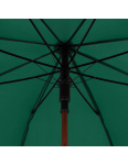 Obrázok z DOPPLER Oslo AC - pánský holový deštník zelená