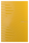 Obrázok z Travelite Pacific S,M,L Yellow S: 37 l / M: 65 l / L: 100 L