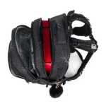 Obrázok z Bagmaster ZIPSTER 25 A školní batoh – černý Černá 30 l