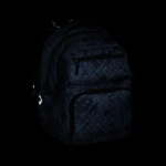 Obrázok z Bagmaster ZIPSTER 25 B studentský set – šedý Šedá 30 l